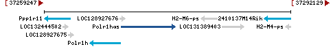 Genomic Context describing neighboring genes