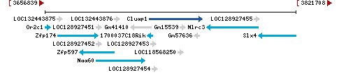 Genomic Context describing neighboring genes