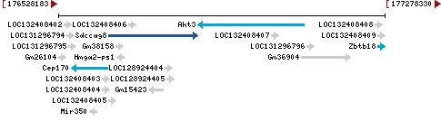 Genomic Context describing neighboring genes