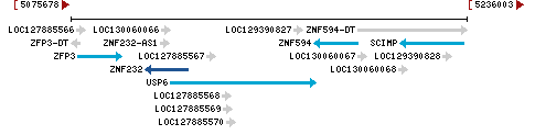 Genomic Context describing neighboring genes