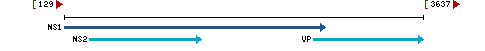 Genomic Context describing neighboring genes