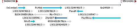 Genomic Context describing neighboring genes