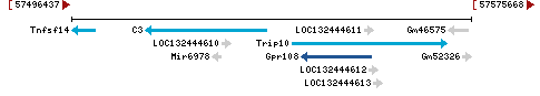 Genomic Context describing neighboring genes