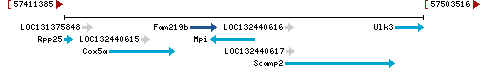 Genomic Context describing neighboring genes