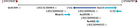 Genomic Context describing neighboring genes