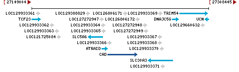 Genomic Context describing neighboring genes