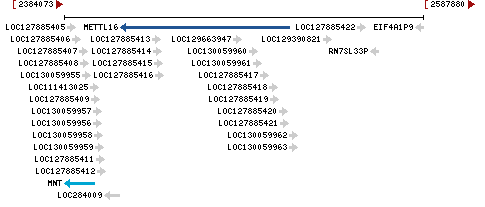 Genomic Context describing neighboring genes