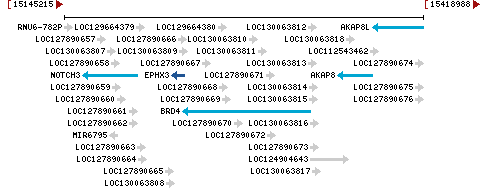 Genomic Context describing neighboring genes