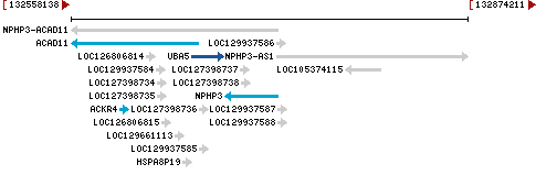 Genomic Context describing neighboring genes