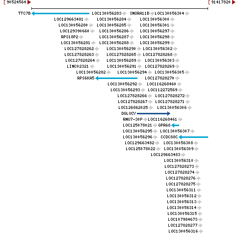 Genomic Context describing neighboring genes