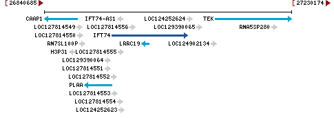 Genomic Context describing neighboring genes