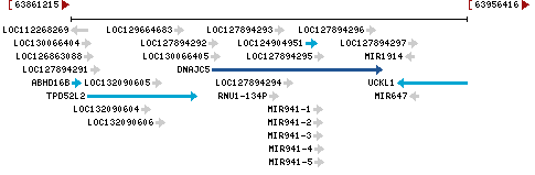 Genomic Context describing neighboring genes