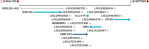 Genomic Context describing neighboring genes