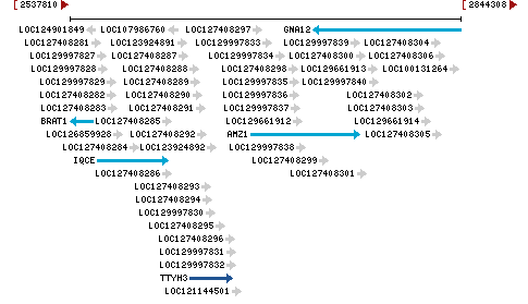 Genomic Context describing neighboring genes