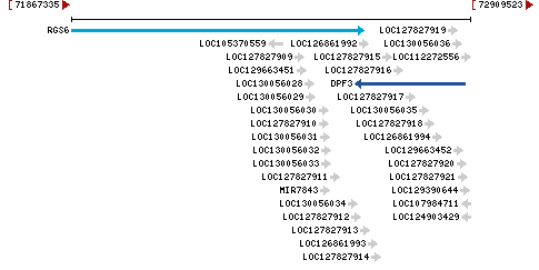 Genomic Context describing neighboring genes