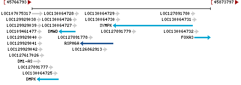 Genomic Context describing neighboring genes