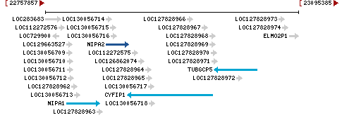 Genomic Context describing neighboring genes