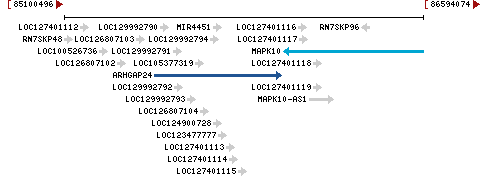 Genomic Context describing neighboring genes