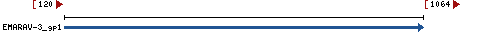 Genomic Context describing neighboring genes