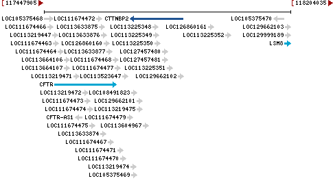 Genomic Context describing neighboring genes