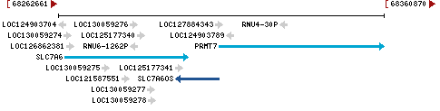 Genomic Context describing neighboring genes