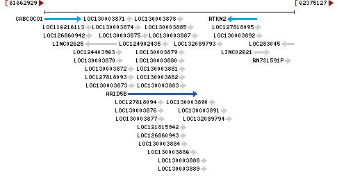 Genomic Context describing neighboring genes