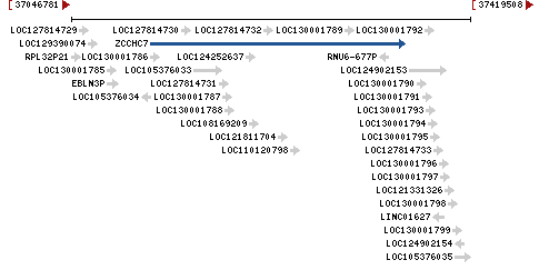 Genomic Context describing neighboring genes