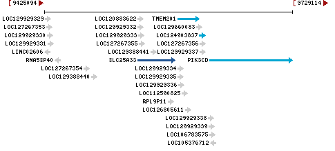 Genomic Context describing neighboring genes