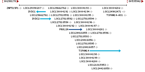 Genomic Context describing neighboring genes