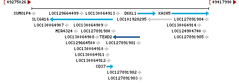 Genomic Context describing neighboring genes