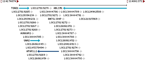 Genomic Context describing neighboring genes