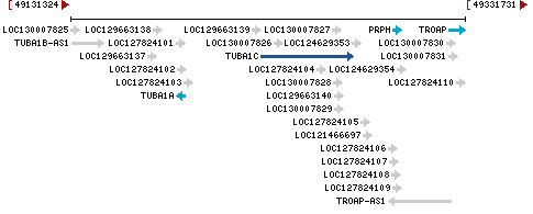 Genomic Context describing neighboring genes