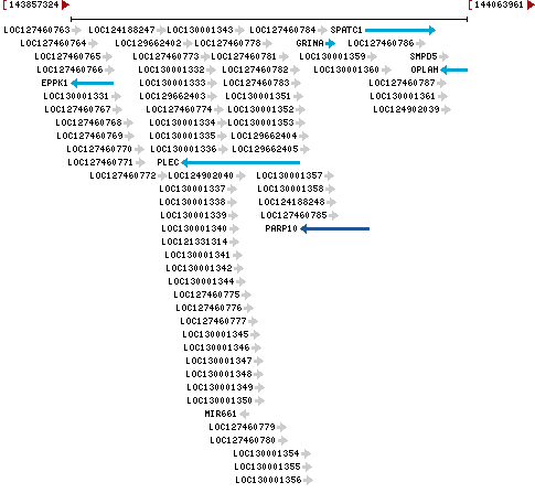 Genomic Context describing neighboring genes