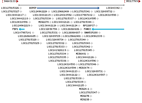 Genomic Context describing neighboring genes