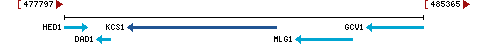 Genomic Context describing neighboring genes