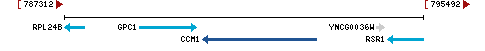 Genomic Context describing neighboring genes