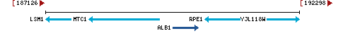 Genomic Context describing neighboring genes