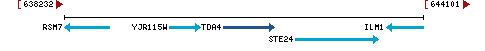 Genomic Context describing neighboring genes