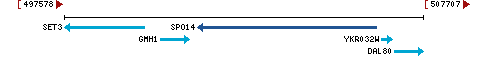 Genomic Context describing neighboring genes