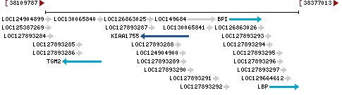 Genomic Context describing neighboring genes