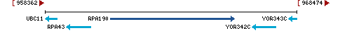 Genomic Context describing neighboring genes