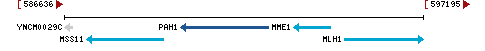 Genomic Context describing neighboring genes