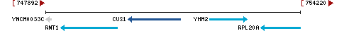 Genomic Context describing neighboring genes