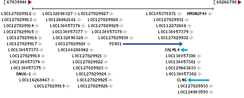 Genomic Context describing neighboring genes