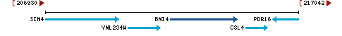 Genomic Context describing neighboring genes