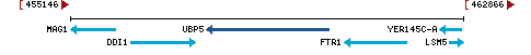 Genomic Context describing neighboring genes