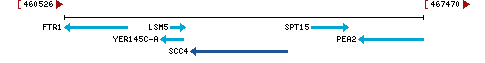 Genomic Context describing neighboring genes