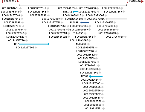 Genomic Context describing neighboring genes