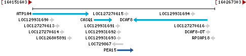 Genomic Context describing neighboring genes