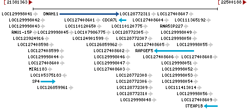 Genomic Context describing neighboring genes